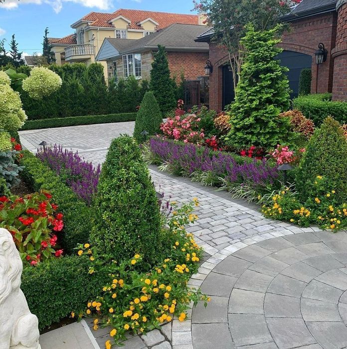 Evropadan ideal turdagi manzarali darahtlar