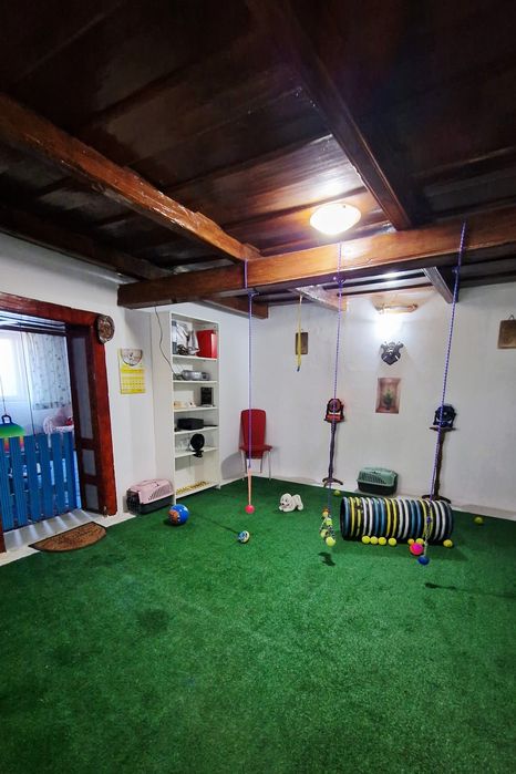 Casă de vânzare, teren 2450 mp Cefa Bihor