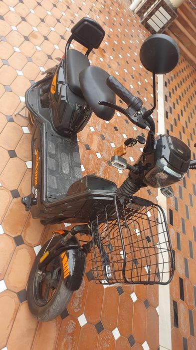 Skuter xolati zur