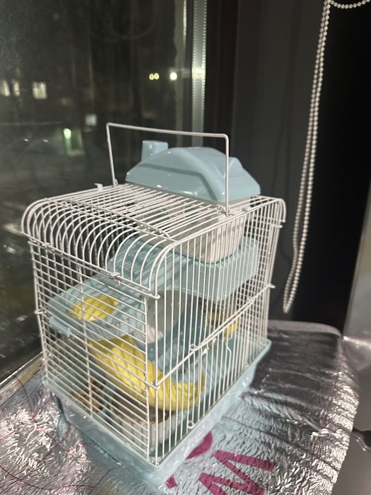 Продается клетка с хомяком + корм