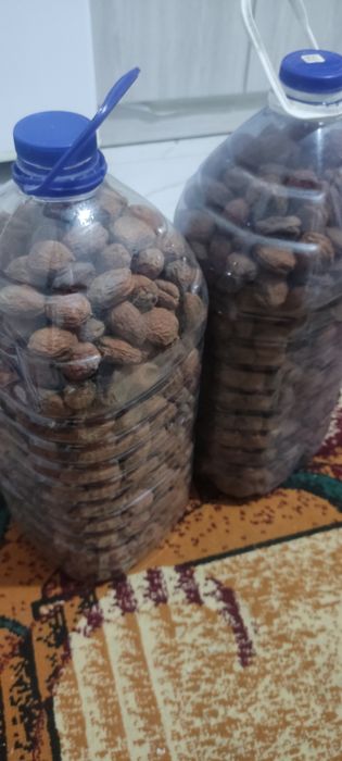 oʻrik turshak bargak