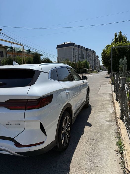 BYD Champion 2024 ev