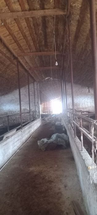 Продаётся ферма , Чирчик , электр, газ есть