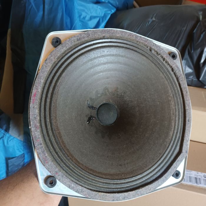 Difuzoare 30 cm Philips și Dinacord