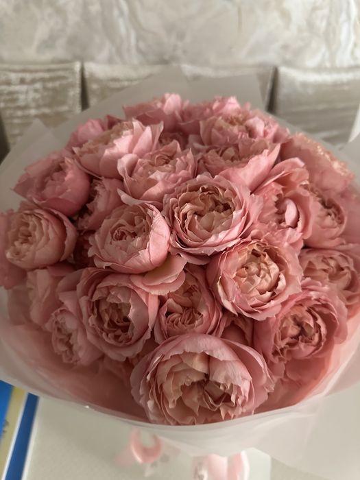 пионовидные розы джульетта