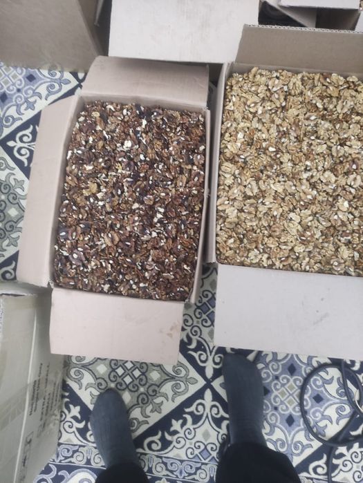 Орех грецкий жангак