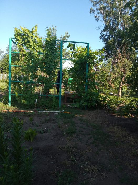 Продам дом в дачном обществе Садовод