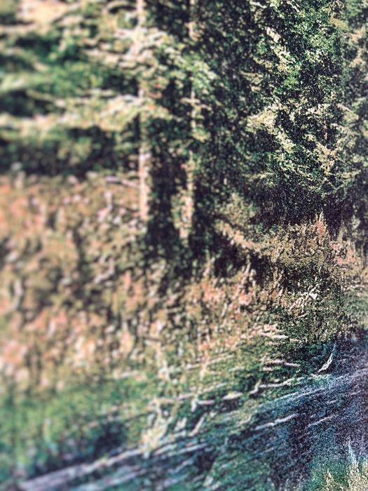 Картина в обрамлении