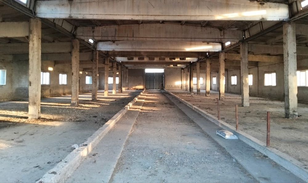 Срочно. База 1.5 гектар.