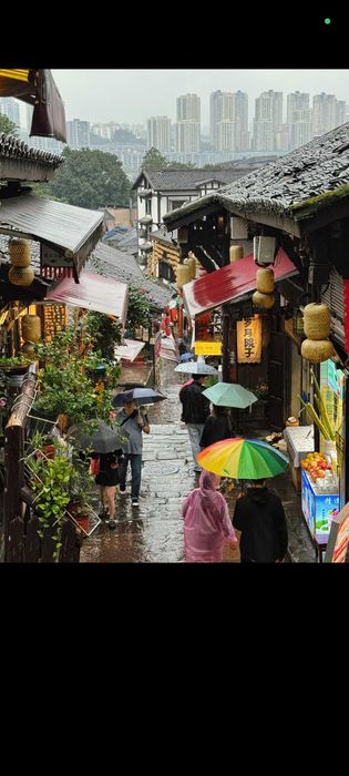 Гид в Чунцине, Переводчик в Чунцине