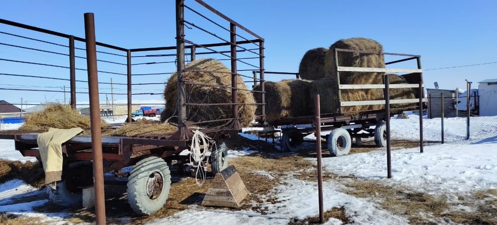 Продам прицеп или обмен на КРС