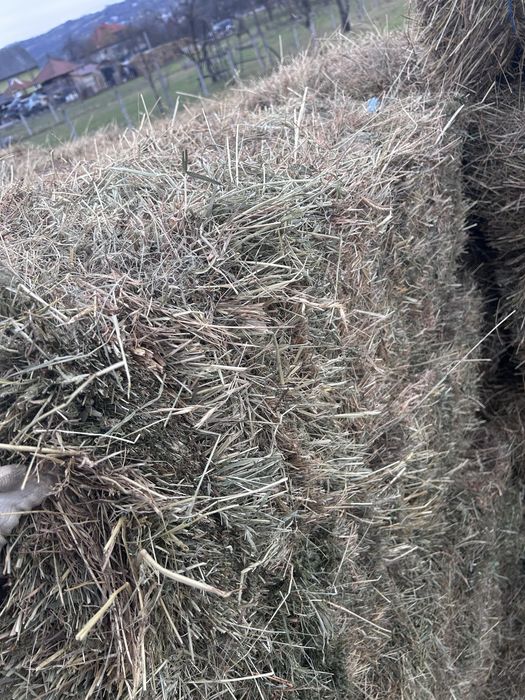 Vand baloți de fan si otava