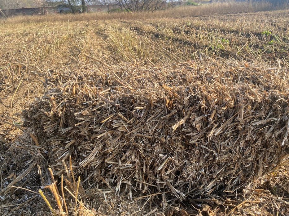 Тюки соевая солома