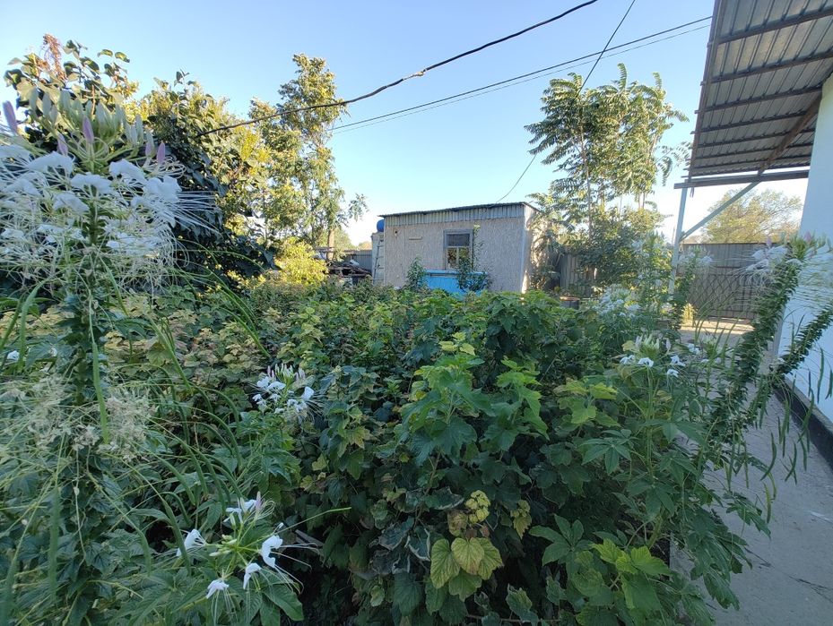 Продам Дачу "Сабалак"