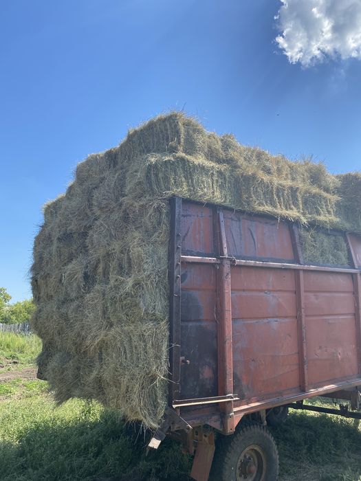 Продажа сено Тюки самовывоз