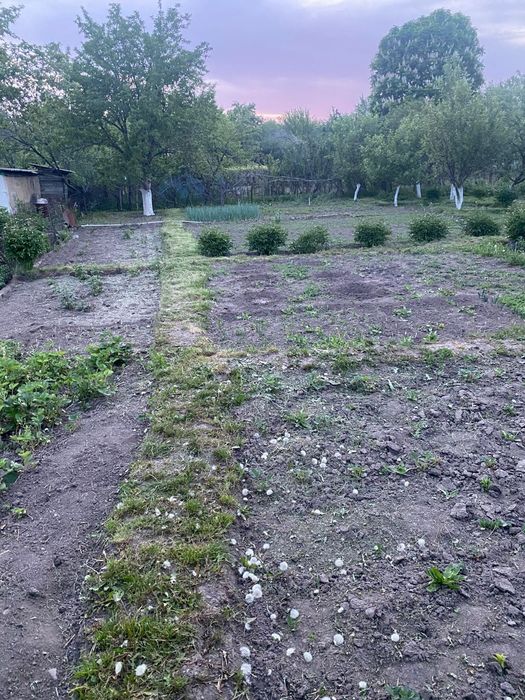 Срочно продам дачу!