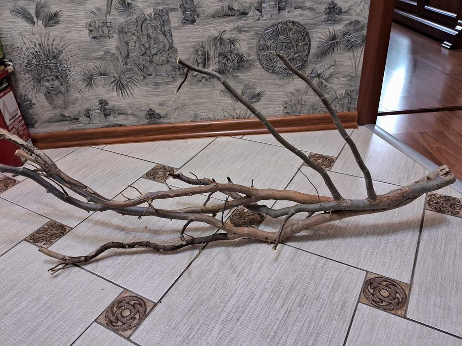 Коряга в аквариум