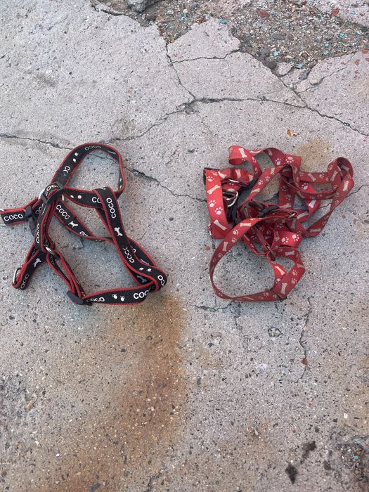 Аксессуары для собак