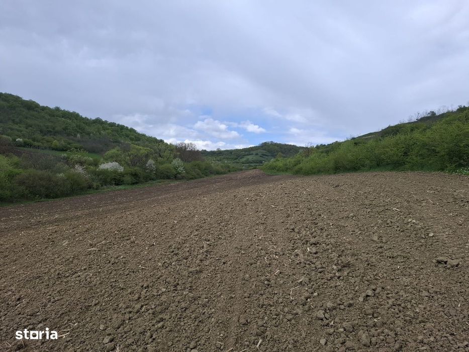 Teren extravilan arabil, Gusterita - Sibiu - Gusterland