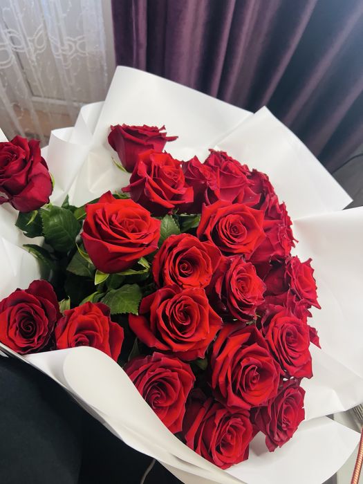 голонские розы 25 шт