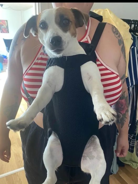 Рюкзак переноска