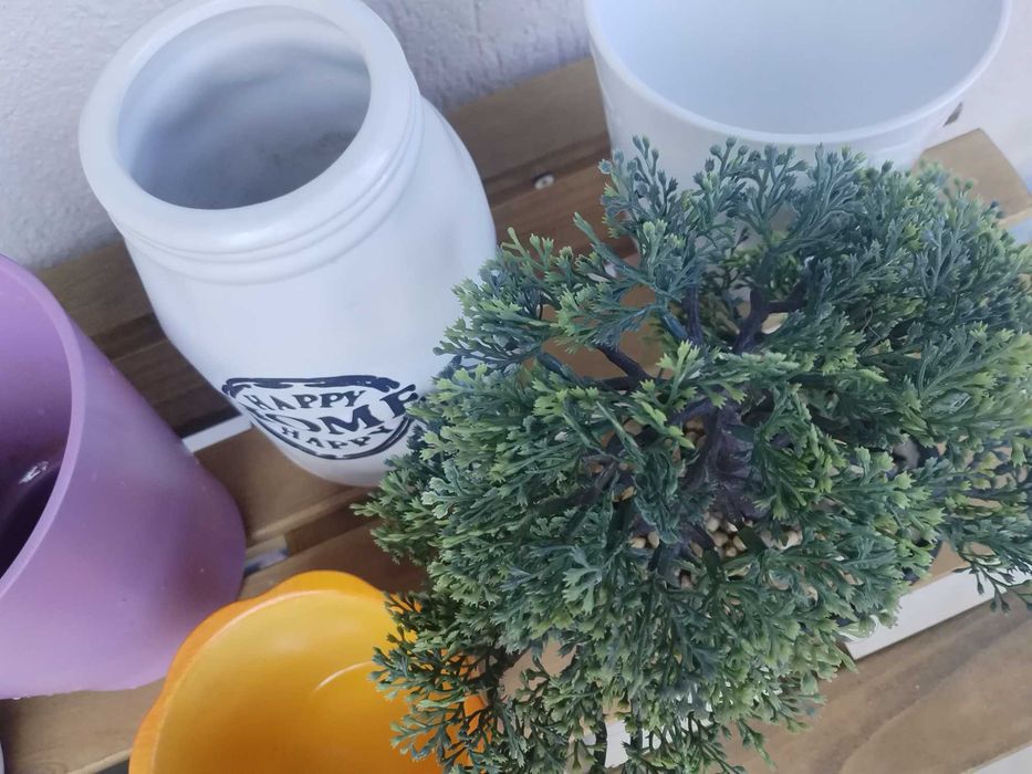 Кашпи и ваза за 10 лв всичко