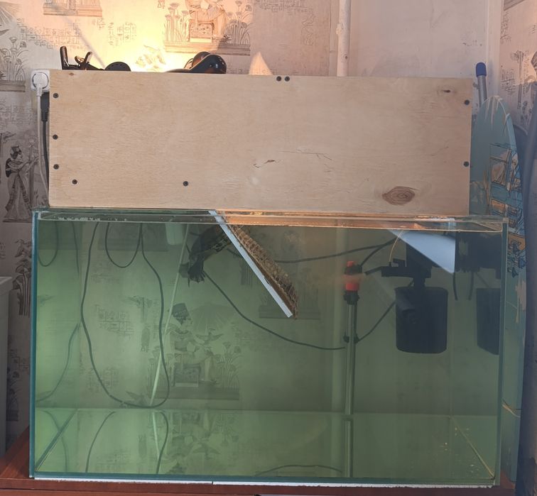 Продам черепаху с оборудованием