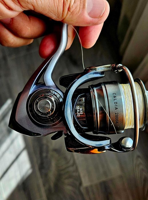 Vand mulineta Daiwa Caldia 2000A