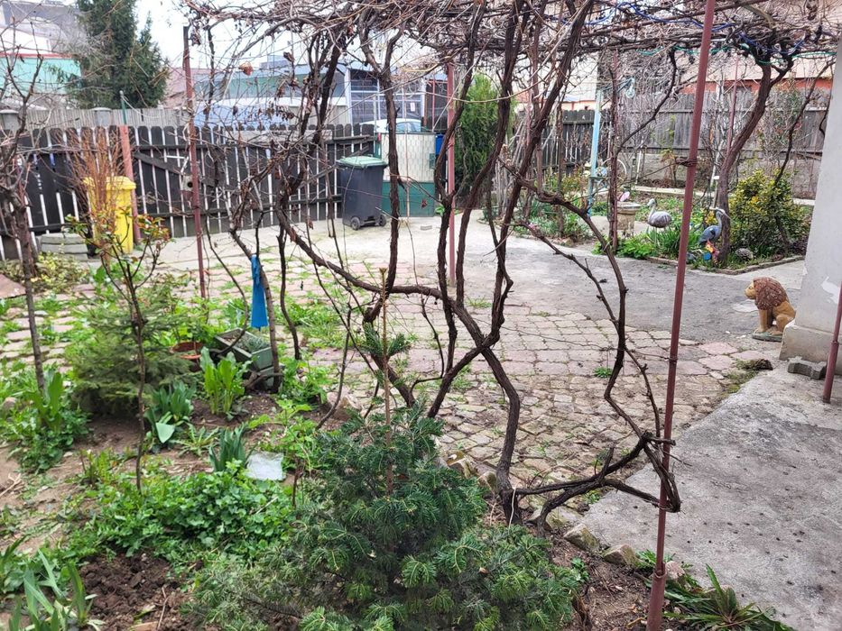 Casa de vanzare Pipera