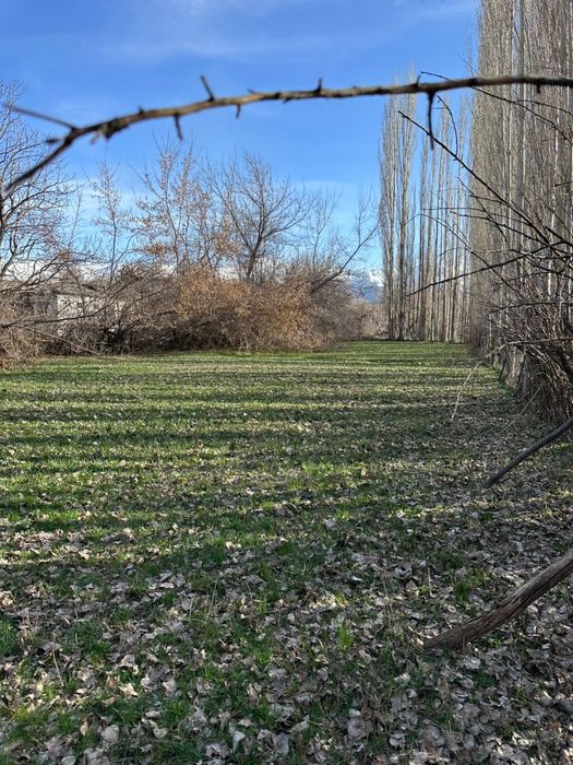 Продается участок в поселке Каскасу