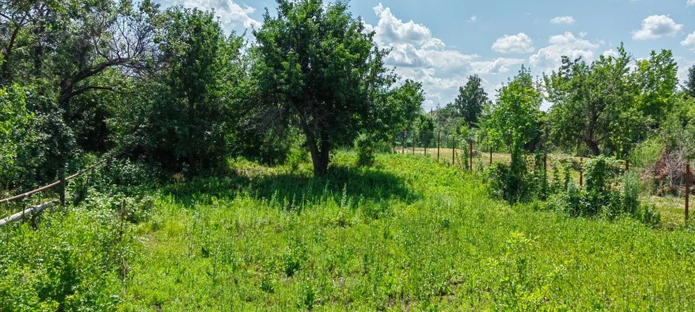 продам дачный участок