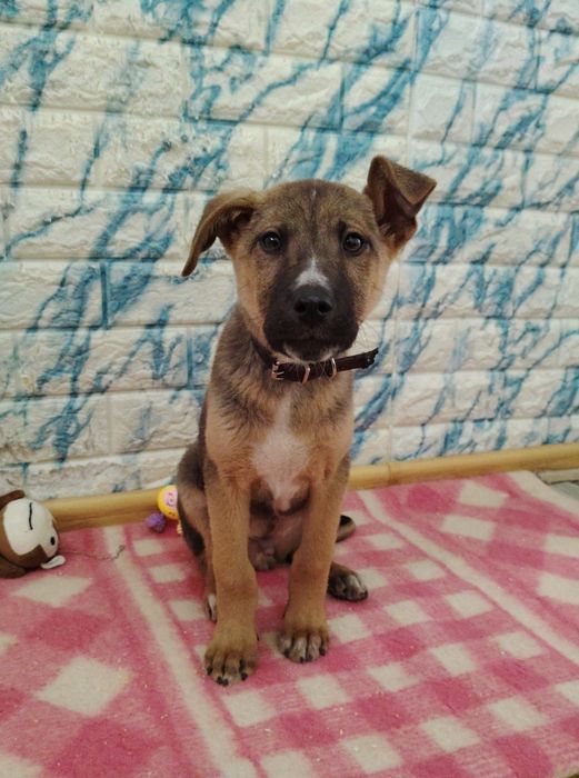 Малыши ждут своих родителей