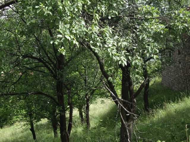 Продава се Къща в с. Живко, Област Габрово - 204 кв.м за 113 €/кв.м - Снимка #14