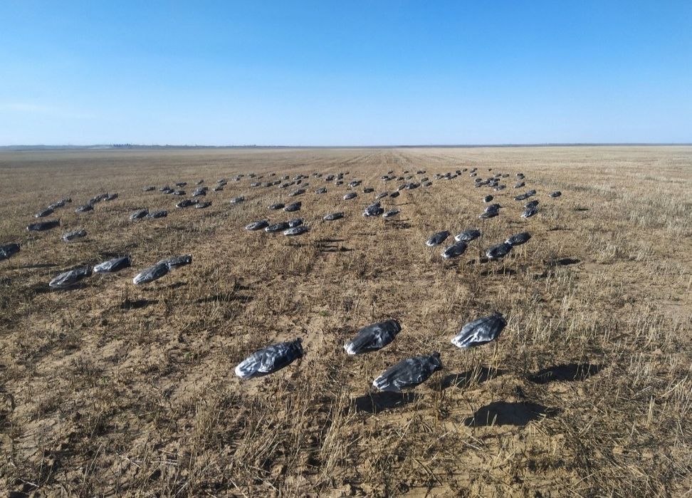 Чучело профиль гусь