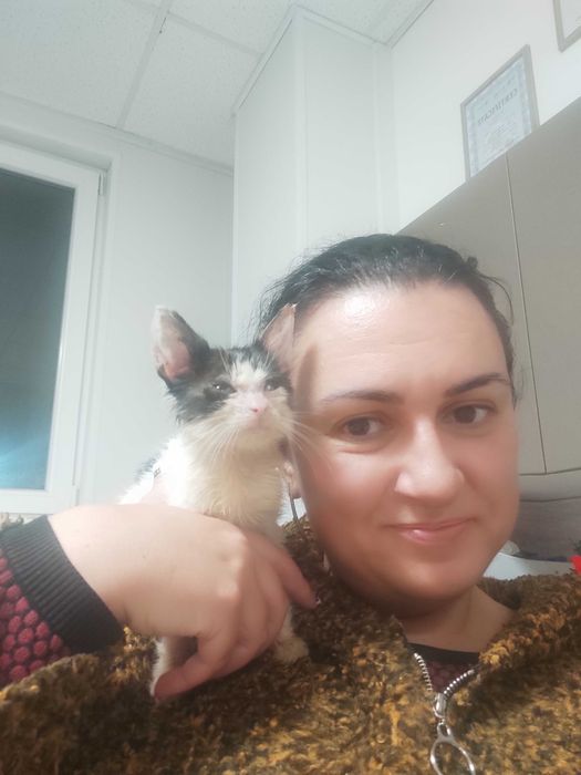 2-месечно момченце търси дом!