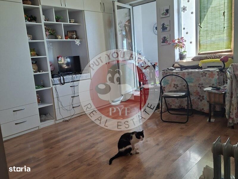 Facultatea artelor | Studio | 44mp | Semidec | RS I | B12089