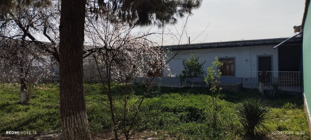 Bu uy Qashqadaryo viloyati Koson tuman paxtazor mahallasida joylashgan