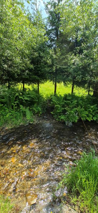 Teren intravilan în munții Apuseni jud Alba/Cluj