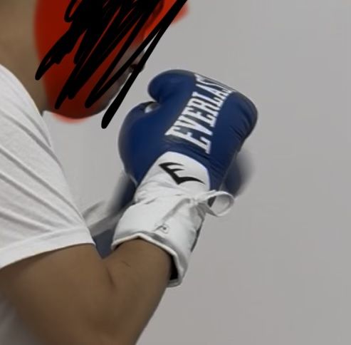 Everlast MX Elite Pro