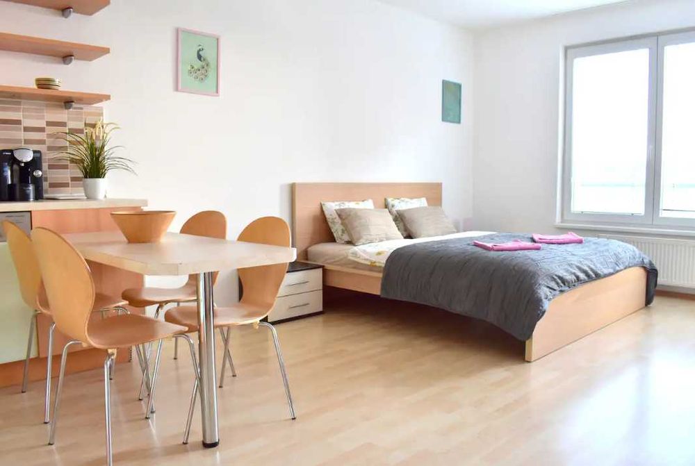 Дава се под наем Едностаен апартамент в Пловдив, Кършияка - 35 кв.м за 194.31 € - Снимка #1