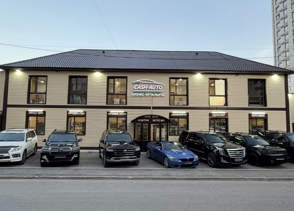 Профессиональный Автоэлектрик