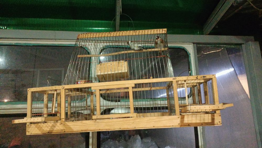 Продам клетки продам