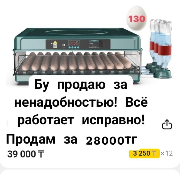 Инкубатор для яиц