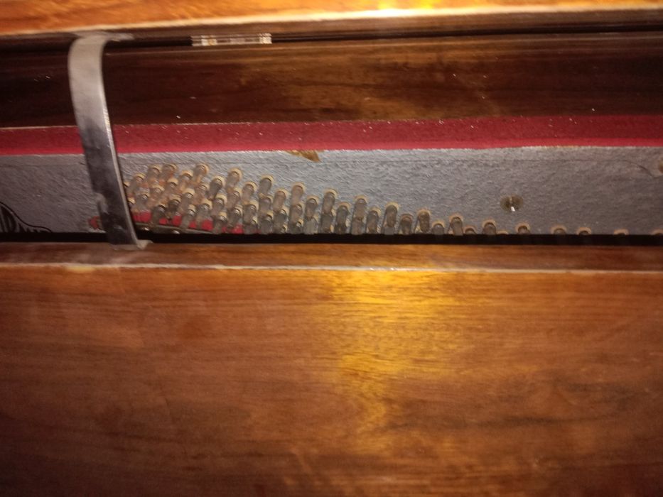 Пианино rich срочно германски