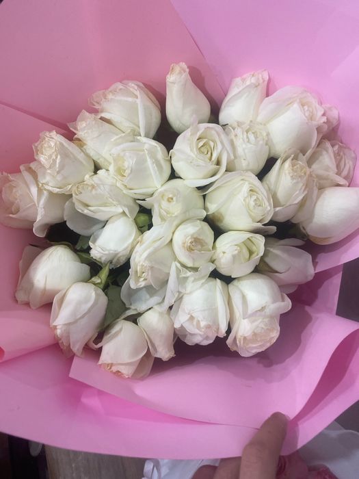 розы белые розы розовые метровые