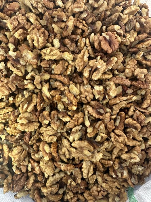 Vind miez de nuca productie 2025