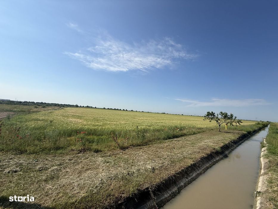 Teren 10 hectare pretabil pt panouri solare-Aricesti Rahtivani