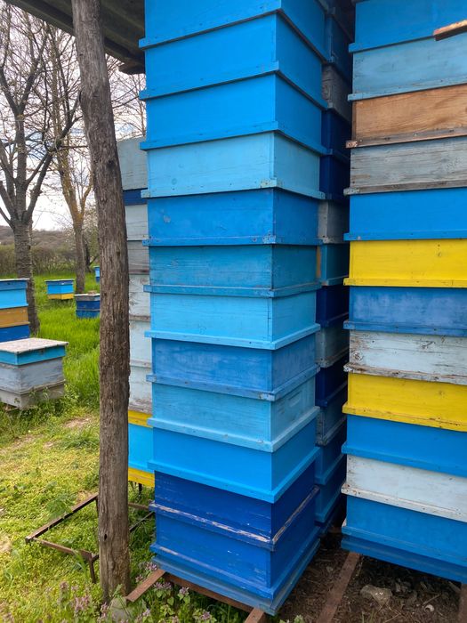 Магазини с изградени рамки, пчеларски