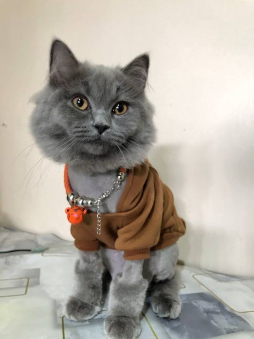 Срочно продается. Сотилади !!!