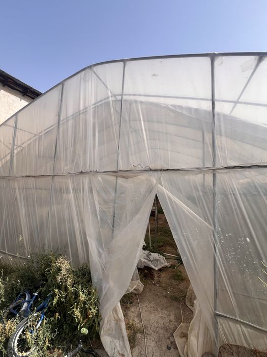 Koreyskiy issiqxona sotiladi